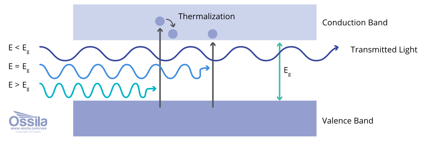image6.png